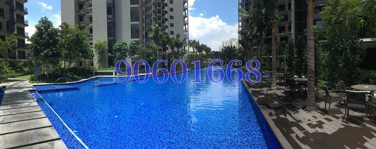 River Isles (D19), Condominium #112946032